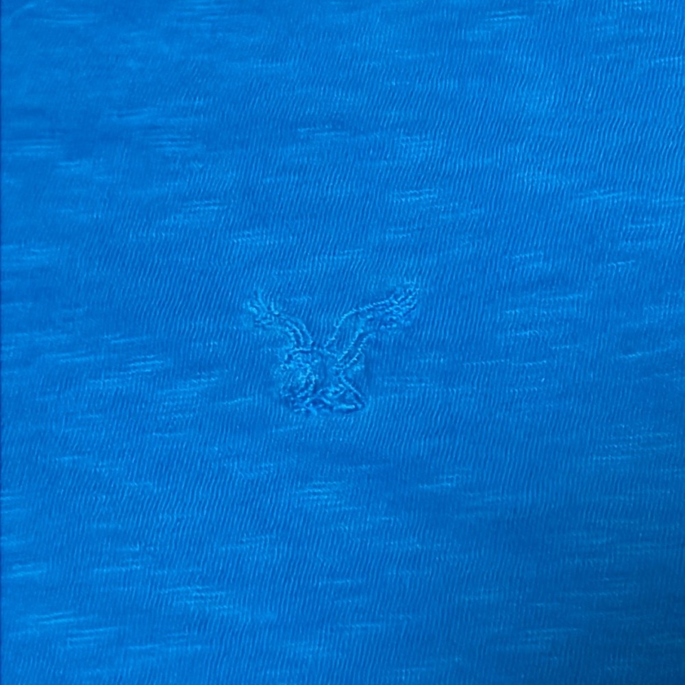Men’s blue American Eagle, V-neck T-shirt - Picture 2 of 4